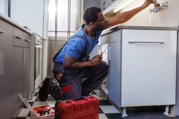 Best Garbage Disposal Repair and Installation  in Ypsilanti, MI